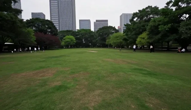 短视频运营误区分析：性能与适用条件的选型建议
